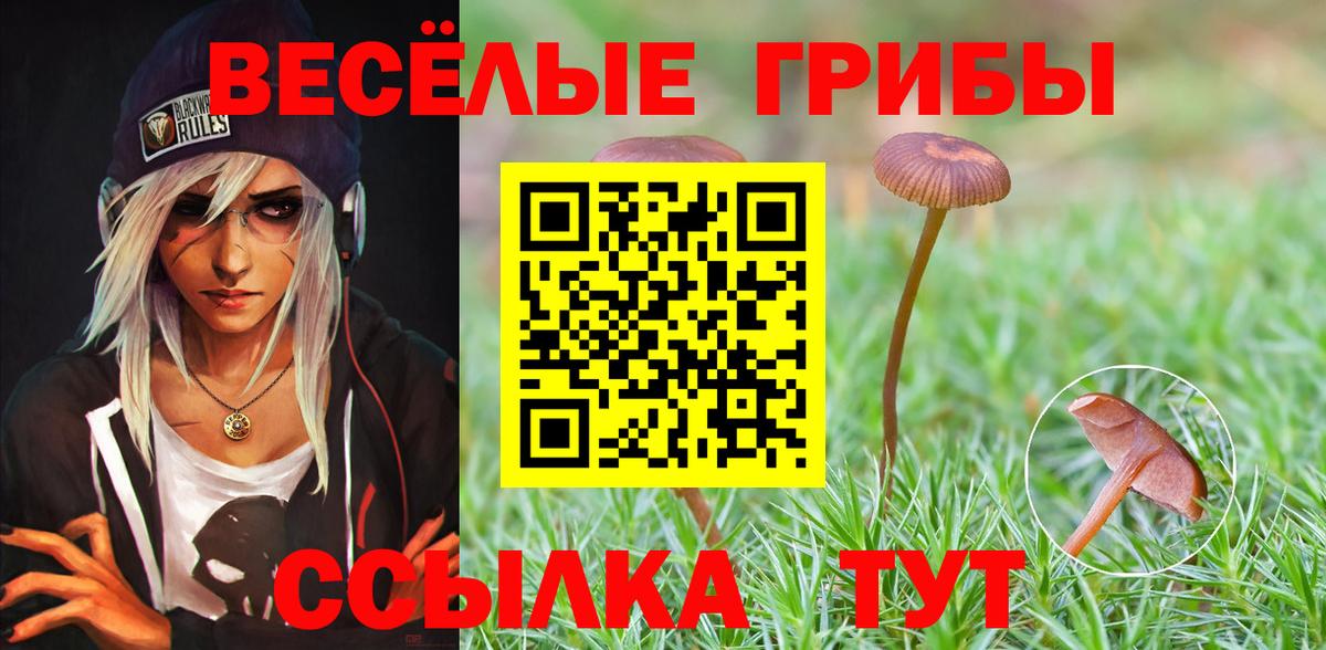 Псилоцибиновые грибы Cubensis  Вход с VPN  Псилоцибиновые грибы мицелий  Нефтекумск 